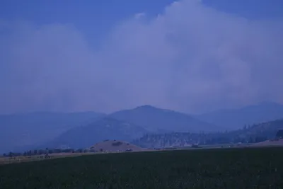 DSC_1859 (Large).JPG